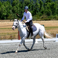 Rider Show #'s