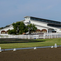Riders Show Number